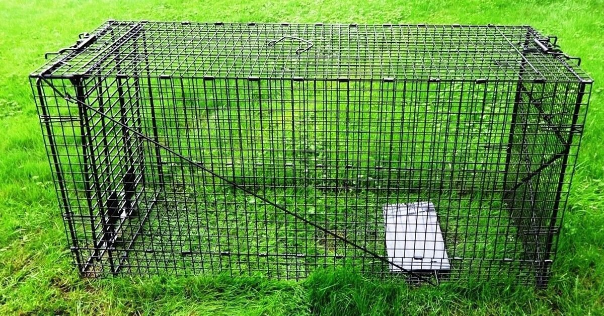 Defensive Barriers or Traps