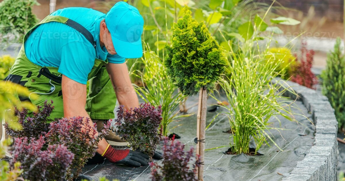 Maintain Landscaping