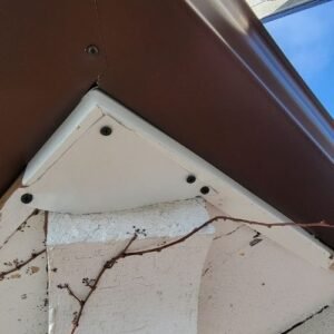 squrril control and prevention