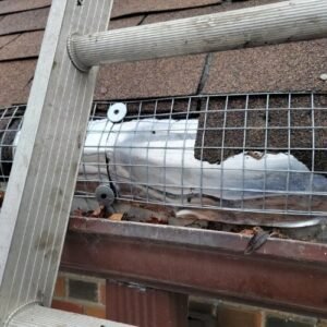 wildlife removal and control services