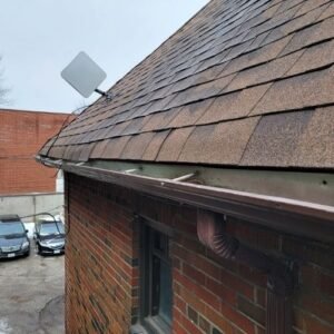 wildlife removal pro services