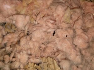 Attic Cleaning Services in toronto and GTA