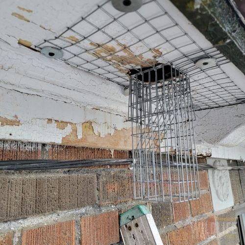 Soffit wildlife proofing installation in Toronto house