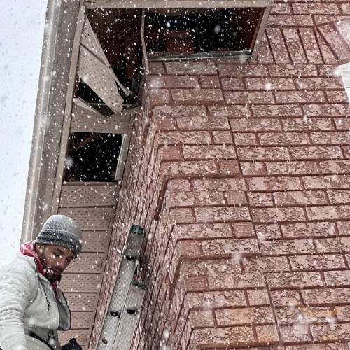 Roofline wildlife exclusion mesh installed in GTA home