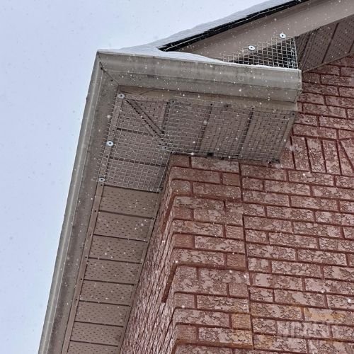 Humane live trap used for wildlife removal in Toronto property