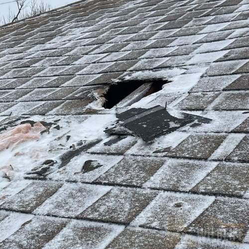 Roof damage caused by raccoon entry in Toronto property