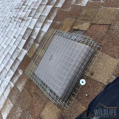 Metal roof vent guard installed to prevent raccoons in GTA home