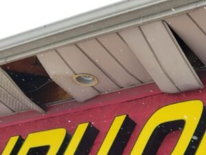 animal control service