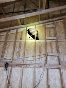 ANImal damage repair in GTA