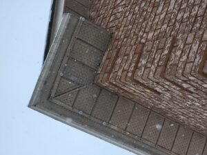 wildlife removal service Totonto and GTA