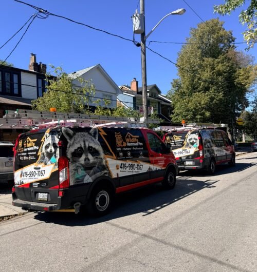 Wildlife removal Pro Toronto van